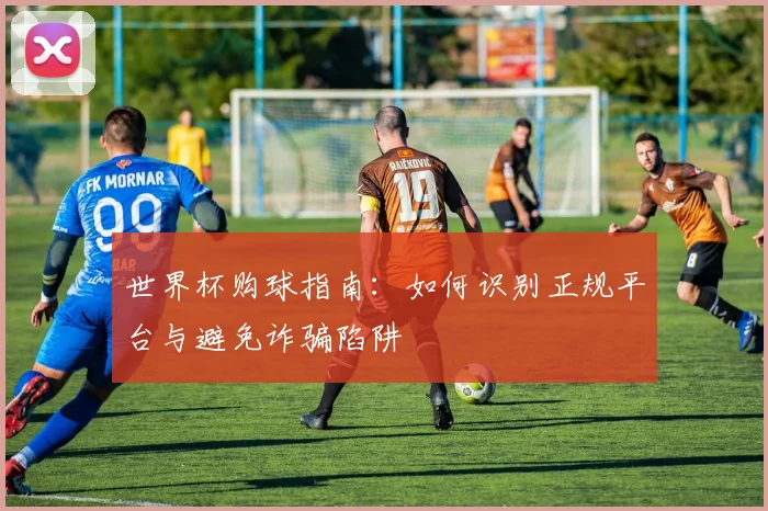 世界杯购球指南：如何识别正规平台与避免诈骗陷阱